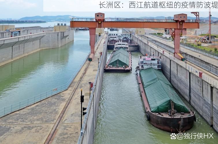 长洲区:西江航道枢纽的疫情防波堤
