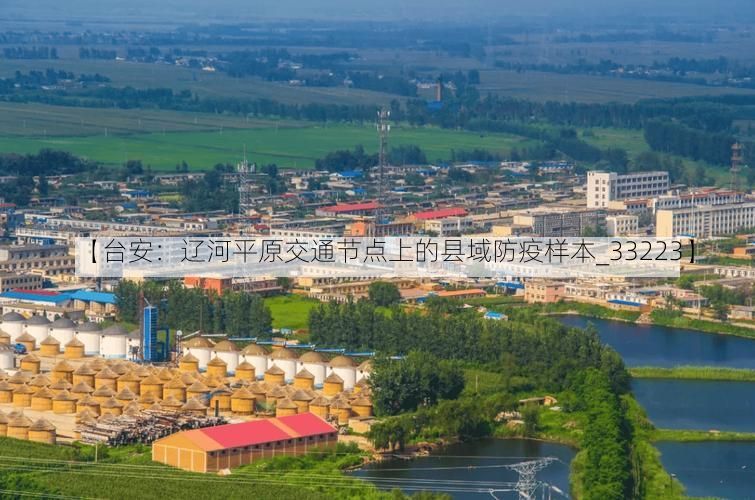 【台安:辽河平原交通节点上的县域防疫样本_33223】