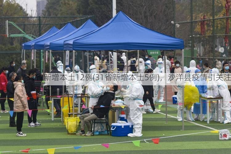 31省新增本土12例(31省新增本土5例),沙洋县疫情引关注