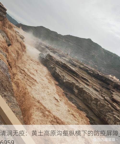 清涧无疫:黄土高原沟壑纵横下的防疫屏障_56959