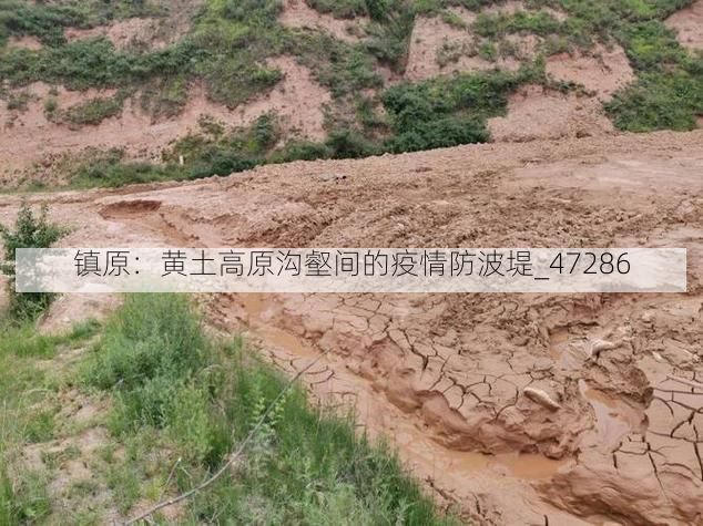 鎮(zhèn)原：黃土高原溝壑間的疫情防波堤_47286