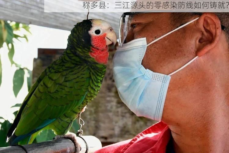 稱多縣：三江源頭的零感染防線如何鑄就？