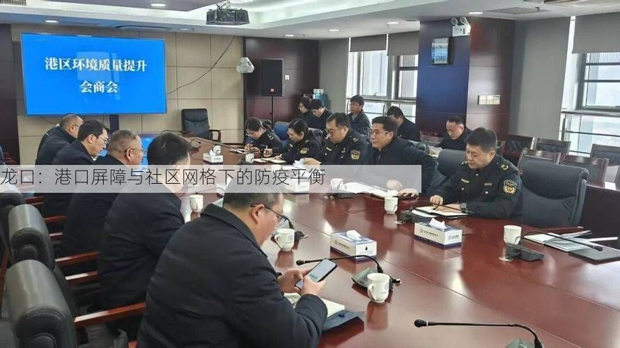龙口：港口屏障与社区网格下的防疫平衡