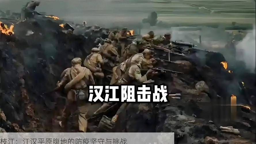 枝江：江漢平原腹地的防疫堅守與挑戰(zhàn)