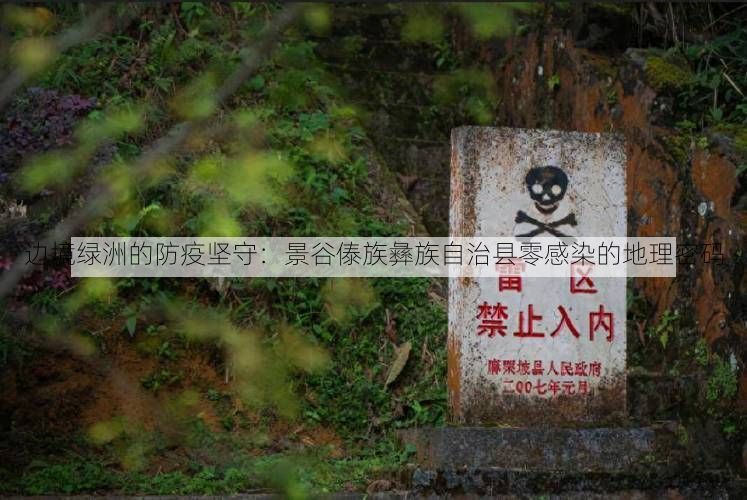 邊境綠洲的防疫堅(jiān)守：景谷傣族彝族自治縣零感染的地理密碼