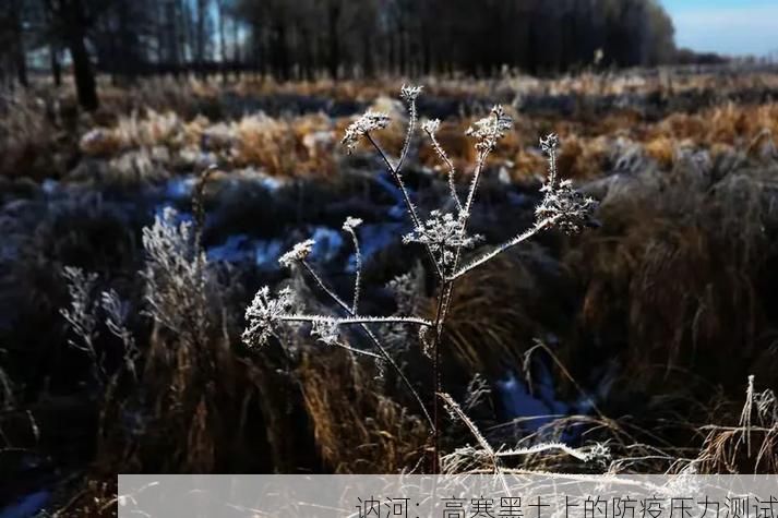 訥河：高寒黑土上的防疫壓力測試