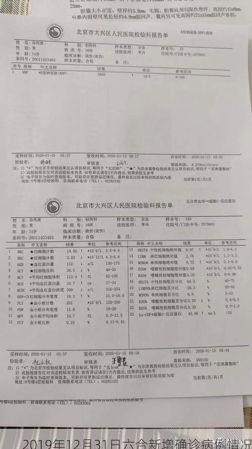 2019年12月31日六合新增确诊病例情况