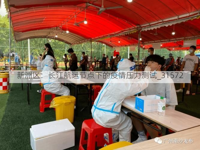 新洲區(qū)：長江航運節(jié)點下的疫情壓力測試_31572