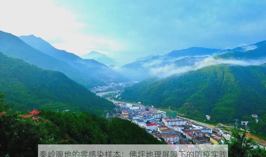 秦嶺腹地的零感染樣本：佛坪地理屏障下的防疫實(shí)踐