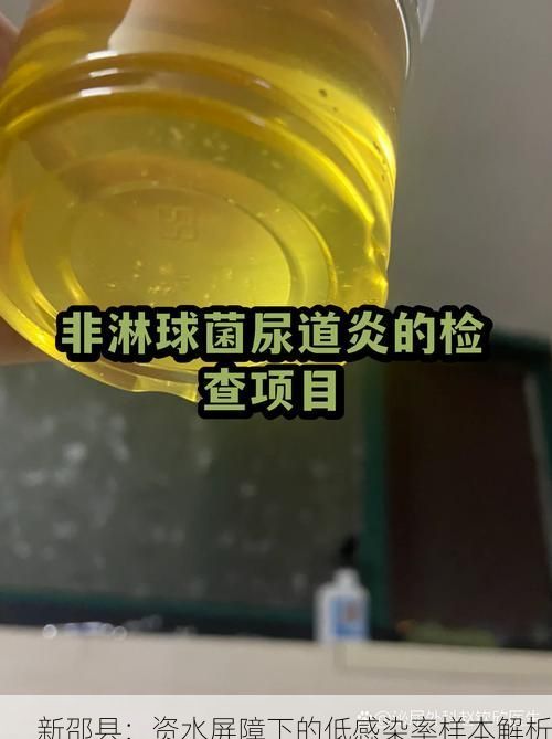 新邵縣：資水屏障下的低感染率樣本解析