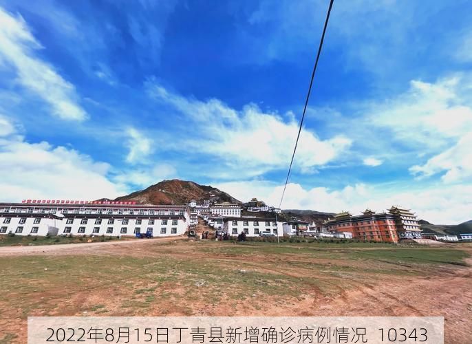 2022年8月15日丁青縣新增確診病例情況_10343