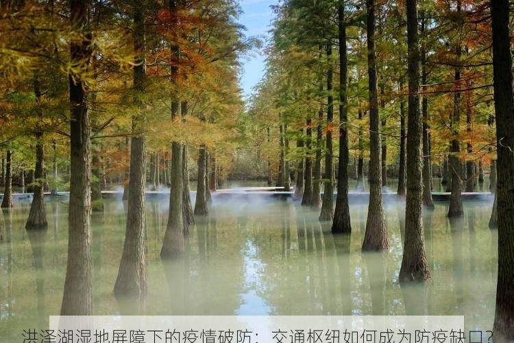 洪澤湖濕地屏障下的疫情破防：交通樞紐如何成為防疫缺口？