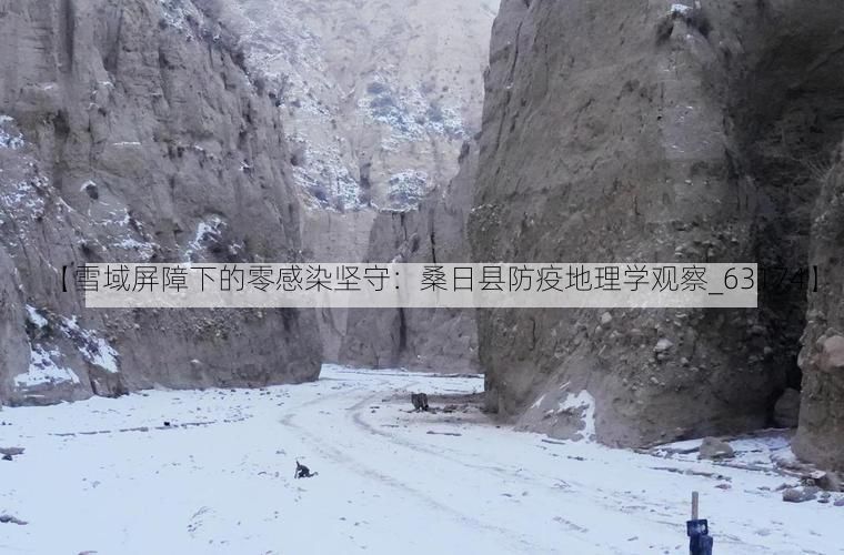 【雪域屏障下的零感染堅(jiān)守：桑日縣防疫地理學(xué)觀察_63174】