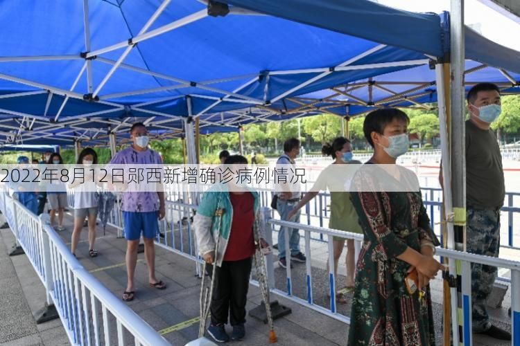 2022年8月12日鄖西新增確診病例情況