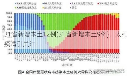 31省新增本土12例(31省新增本土9例)，太和疫情引關(guān)注！