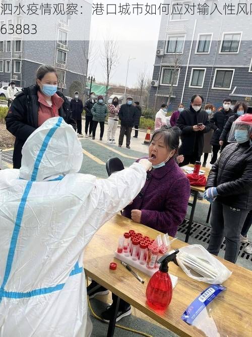 泗水疫情观察：港口城市如何应对输入性风险_63883