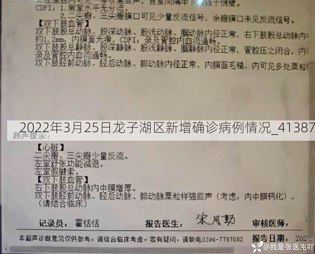 2022年3月25日龍子湖區(qū)新增確診病例情況_41387