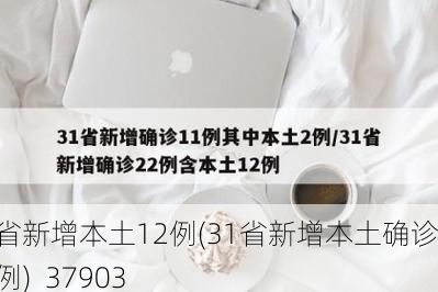31省新增本土12例(31省新增本土确诊13例)_37903
