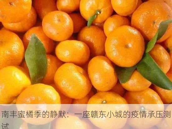南豐蜜橘季的靜默：一座贛東小城的疫情承壓測試
