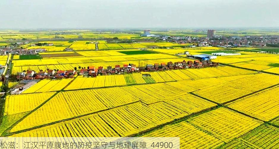 松滋：江漢平原腹地的防疫堅(jiān)守與地理屏障_44900