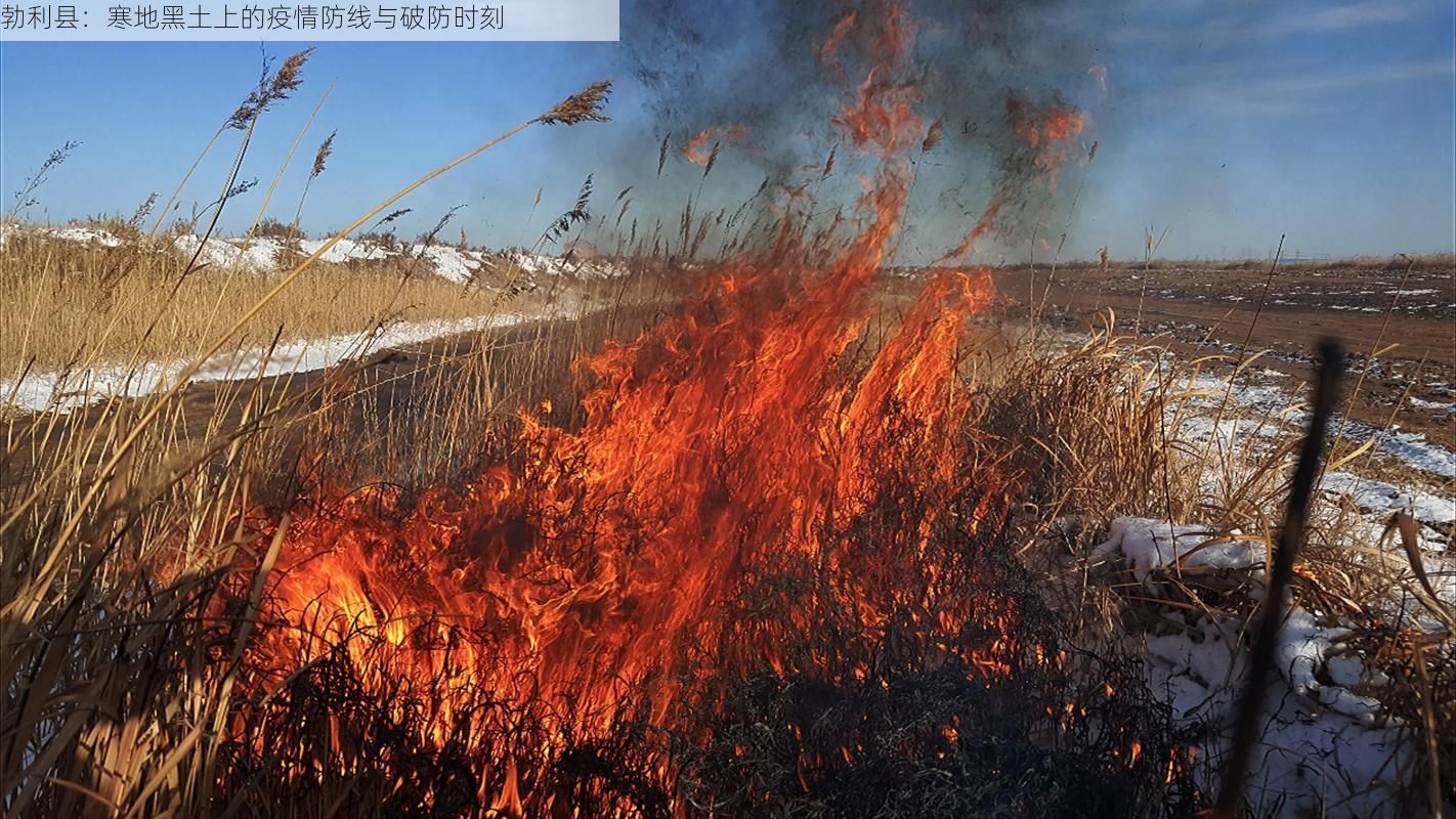 勃利縣：寒地黑土上的疫情防線與破防時(shí)刻