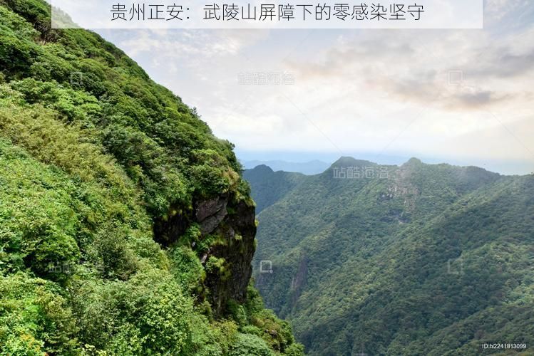 贵州正安：武陵山屏障下的零感染坚守