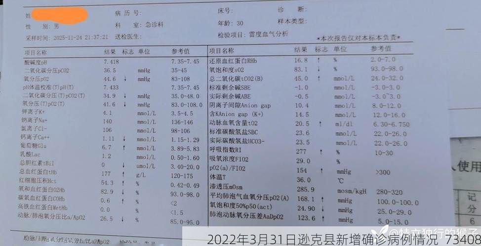 2022年3月31日逊克县新增确诊病例情况_73408