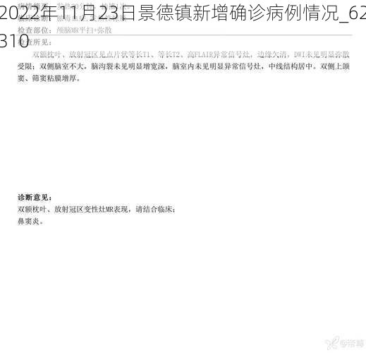 2022年11月23日景德镇新增确诊病例情况_62310