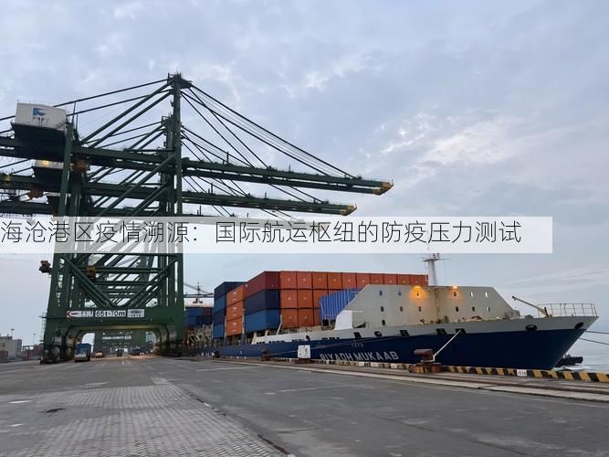 海沧港区疫情溯源：国际航运枢纽的防疫压力测试
