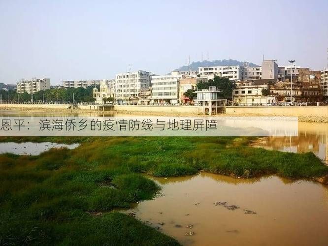 恩平：滨海侨乡的疫情防线与地理屏障