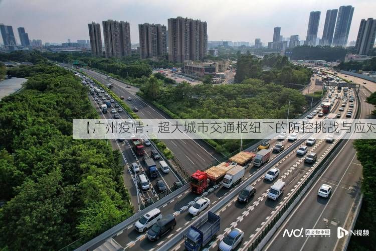 【广州疫情：超大城市交通枢纽下的防控挑战与应对】
