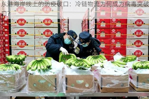 東港海岸線上的防疫破口：冷鏈物流為何成為病毒突破口？