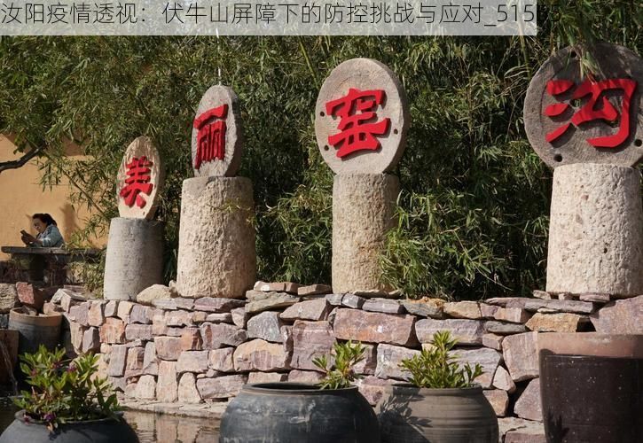 汝阳疫情透视：伏牛山屏障下的防控挑战与应对_51555