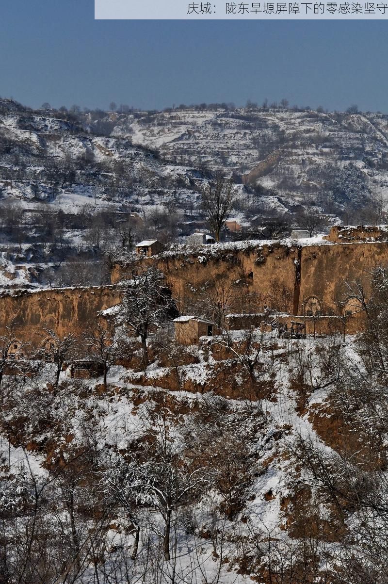 庆城：陇东旱塬屏障下的零感染坚守