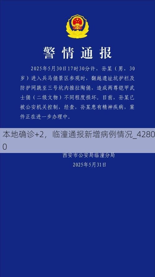 本地确诊+2，临潼通报新增病例情况_42800