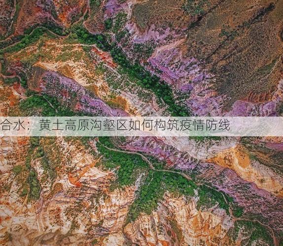 合水：黄土高原沟壑区如何构筑疫情防线