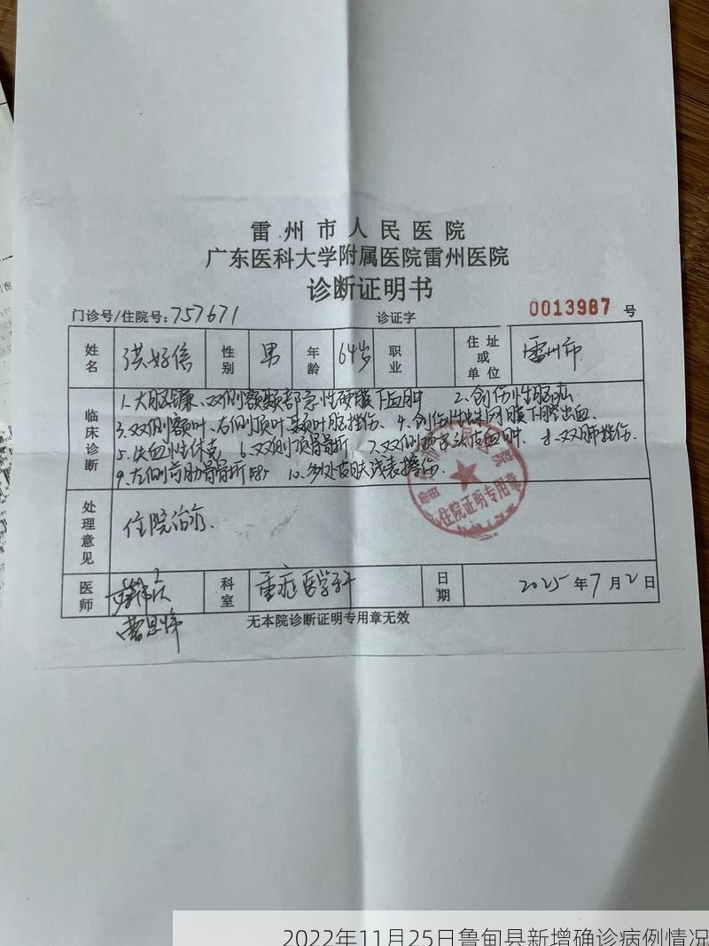 2022年11月25日鲁甸县新增确诊病例情况