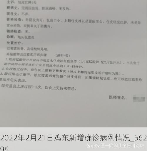 2022年2月21日鸡东新增确诊病例情况_56296