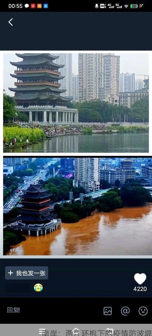 南岸：两江环抱下的疫情防波堤