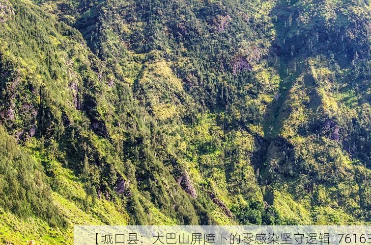 【城口县：大巴山屏障下的零感染坚守逻辑_76163】