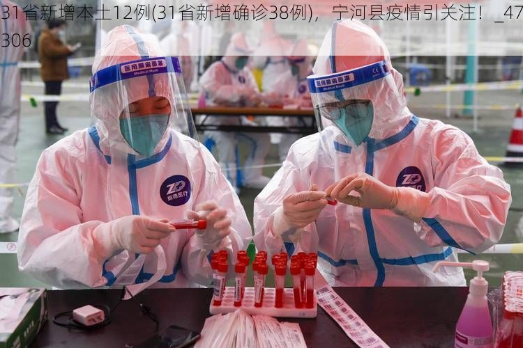 31省新增本土12例(31省新增确诊38例)，宁河县疫情引关注！_47306
