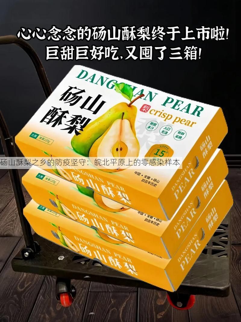 砀山酥梨之乡的防疫坚守：皖北平原上的零感染样本