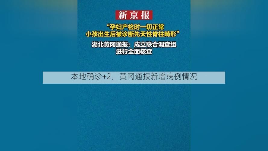 本地确诊+2，黄冈通报新增病例情况