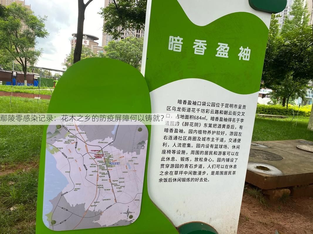 鄢陵零感染记录：花木之乡的防疫屏障何以铸就？