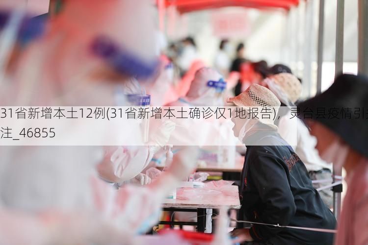 31省新增本土12例(31省新增本土确诊仅1地报告)，灵台县疫情引关注_46855