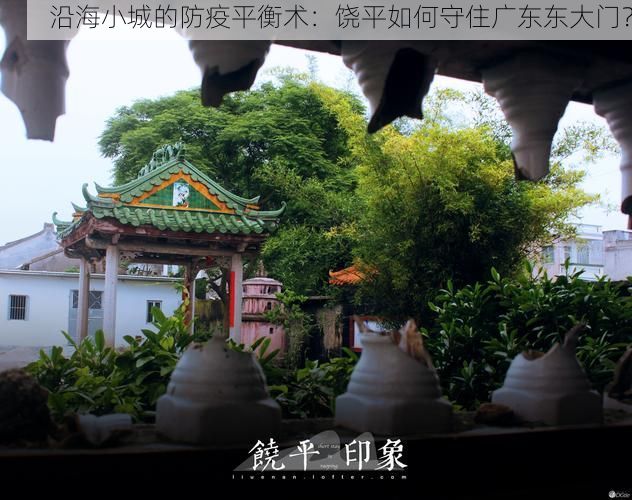 沿海小城的防疫平衡术：饶平如何守住广东东大门？