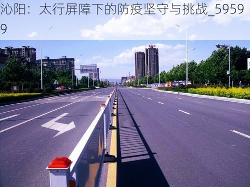 沁阳：太行屏障下的防疫坚守与挑战_59599