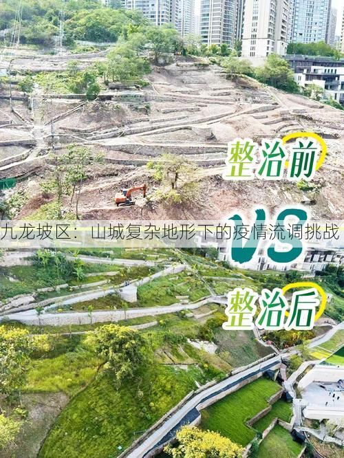 九龙坡区：山城复杂地形下的疫情流调挑战