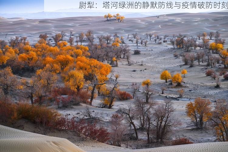 尉犁：塔河綠洲的靜默防線與疫情破防時(shí)刻