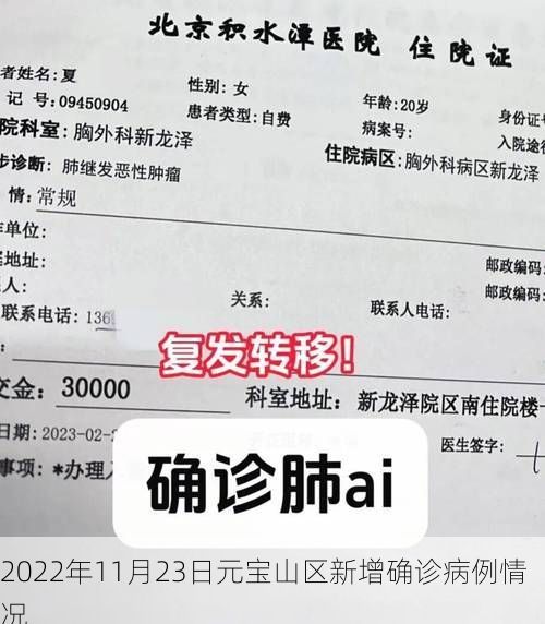 2022年11月23日元宝山区新增确诊病例情况